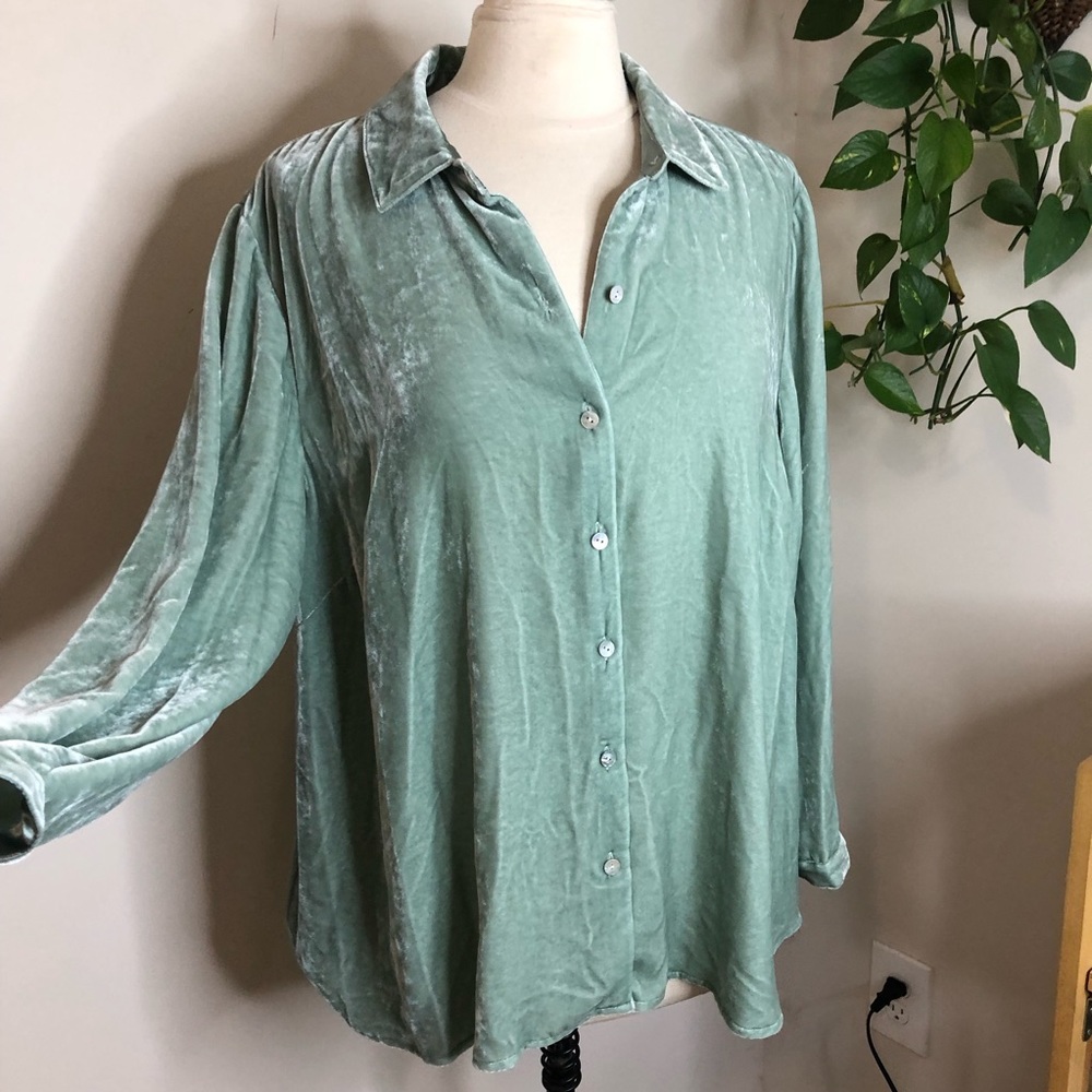 J. Jill velour button down top mineral green PXL